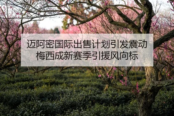 迈阿密国际出售计划引发震动 梅西成新赛季引援风向标